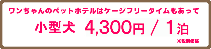 ヌーノクラブの犬・ワンちゃん専用ペットホテルは都内でも格安のお値段でご利用できます。