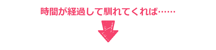 ヌーノクラブ新井薬師店のキャットホテル　猫ちゃんたちが馴れてくるとフリースペースに出て、他の猫ちゃんたちと遊んだりできます。